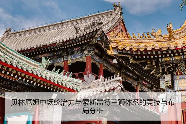 bei-lin-e-mu-zhong-chang-tong-zhi-li-yu-suo-si-gai-te-san-shi-ti-xi-de-jing-ji-yu-bu-ju-fen-xi-2-738.jpg